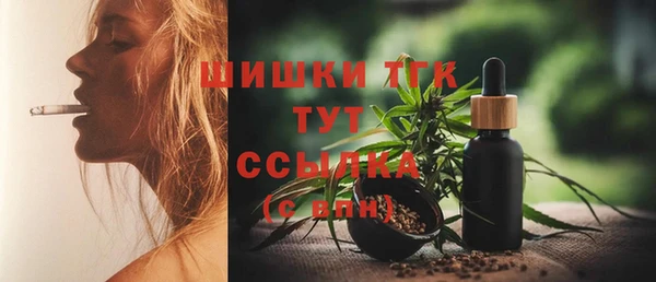 ГАЛЛЮЦИНОГЕННЫЕ ГРИБЫ Няндома