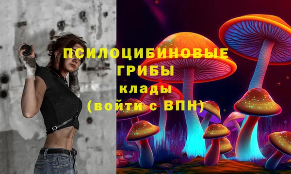 эйфоретик Нязепетровск