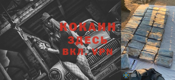 стаф Верея